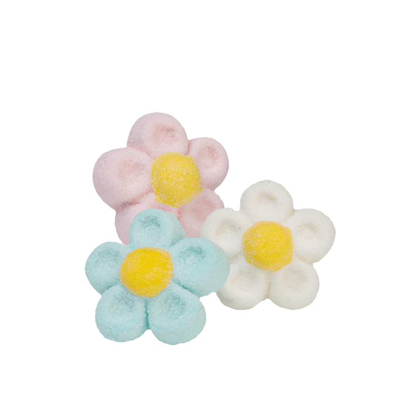 Marshmallow Bulgari Agostino - margherite 3D mix di colori