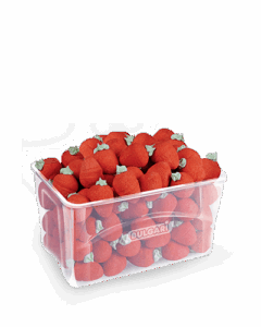 bulgari-agostino-marshmallow-fragole-vaschetta