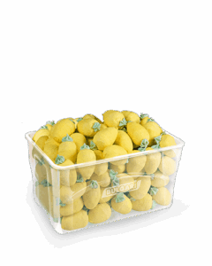 bulgari-agostino-marshmallow-limoni-vaschetta